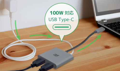 RS-UCHD2-PD 100V対応 USB Type-C
